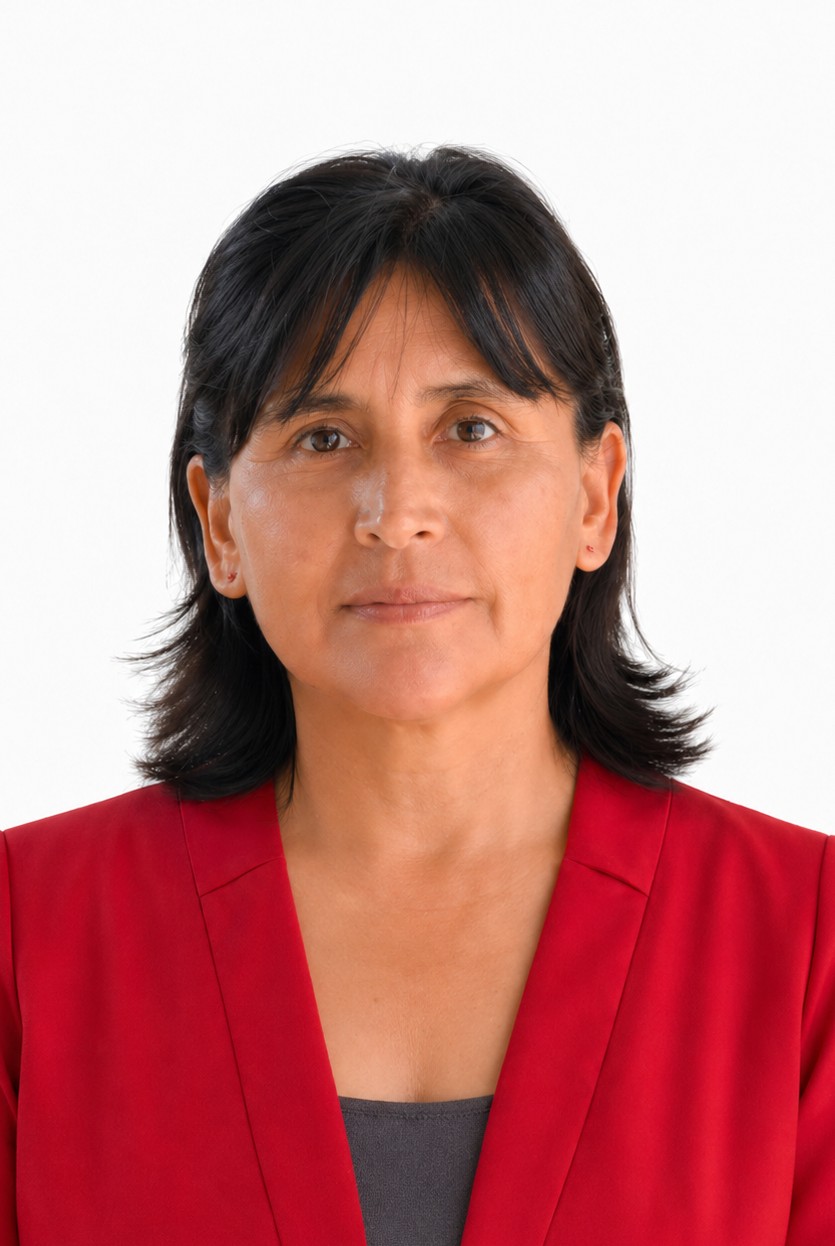 Mg. Bernith Flores Mejía